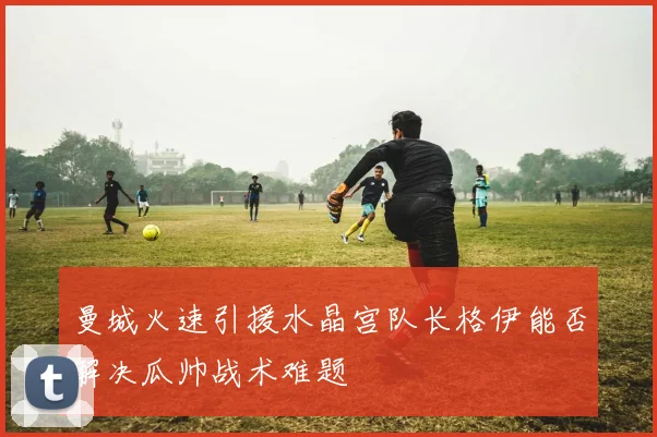 曼城火速引援水晶宫队长格伊能否解决瓜帅战术难题