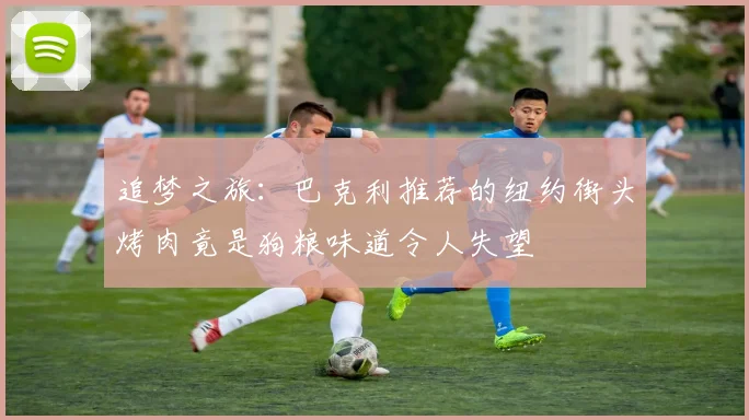 追梦之旅：巴克利推荐的纽约街头烤肉竟是狗粮味道令人失望